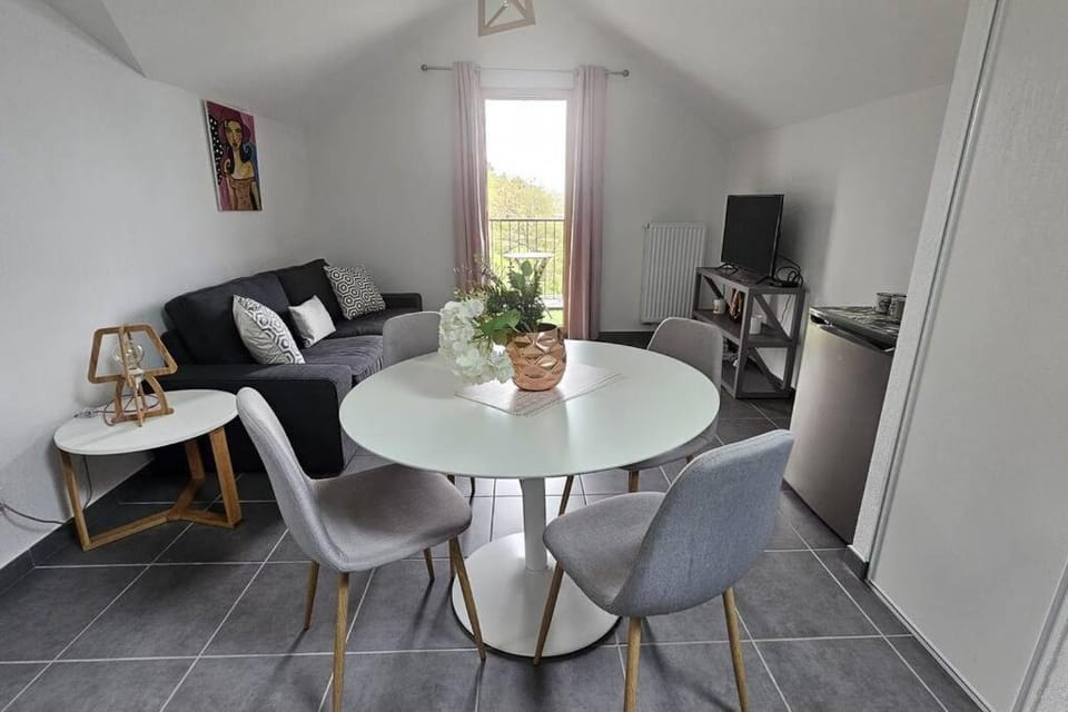 La Grande Mouette Apartment in Thonon-les-Bains