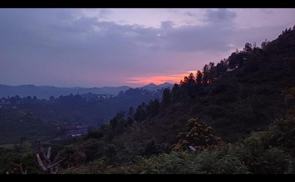 Joy House - 1 bhk Cozy entire house House in Ooty