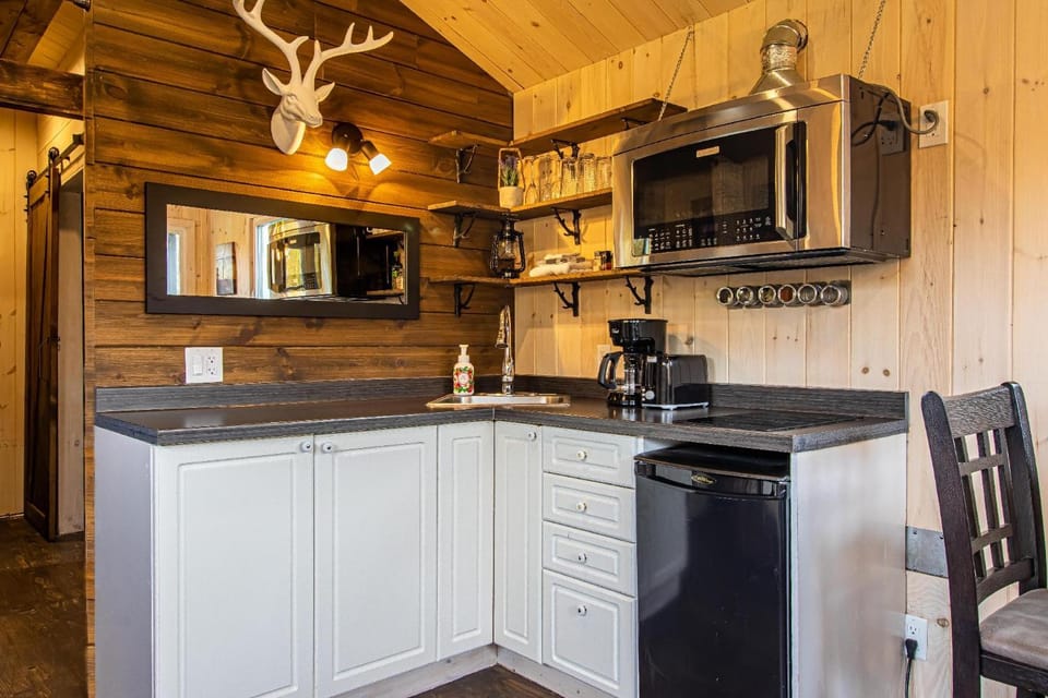 Chalet le Coyote Lac, Micro Ferme, Sentier Du Domaine, Vue Sur Les Monts, Idéal 2 4 Personnes House in Quebec