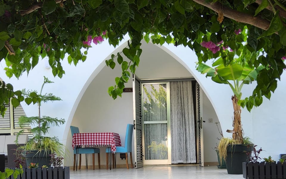 Property building, Patio, Garden, Garden view