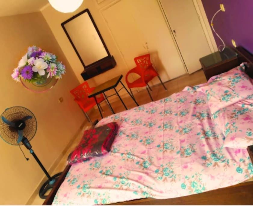 Bed, Living room, Photo of the whole room, Seating area, Bedroom