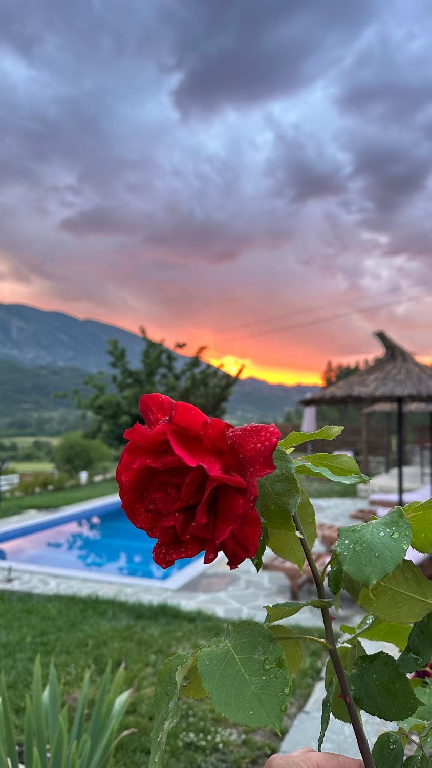 Villa Xheni Villa in Vlorë County, Albania