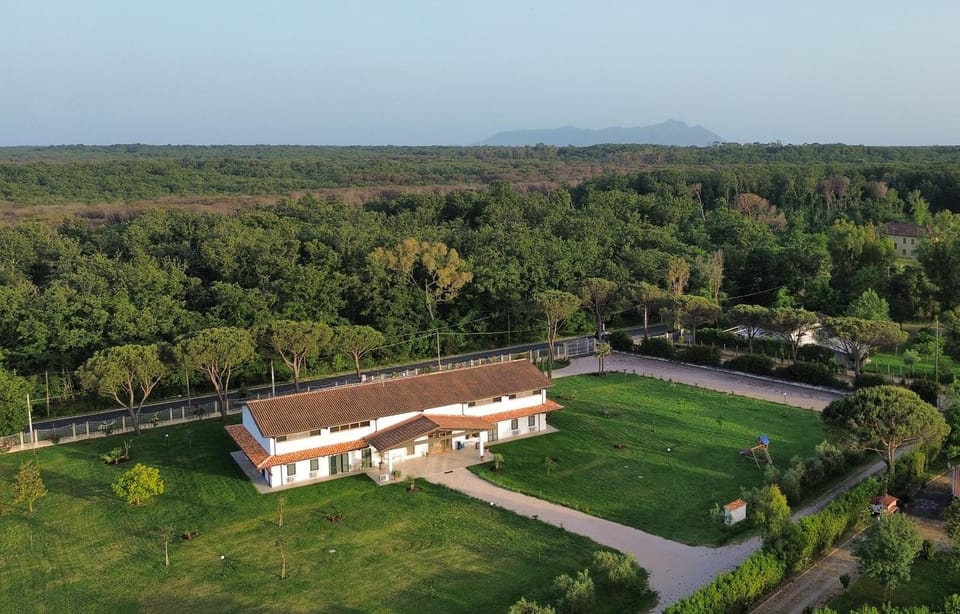 Property building, Bird's eye view