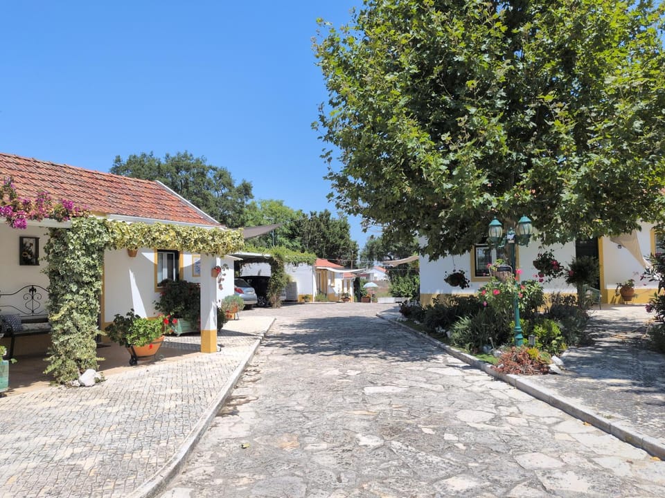 Casinha Robusto House in Santarém District, Portugal
