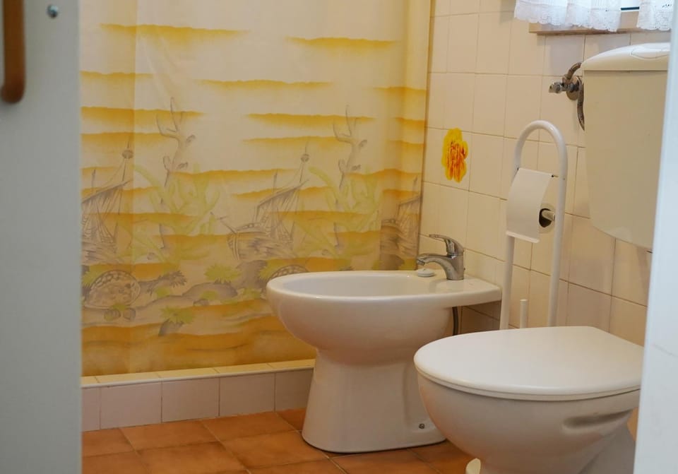 Shower, Toilet, Bathroom, bidet
