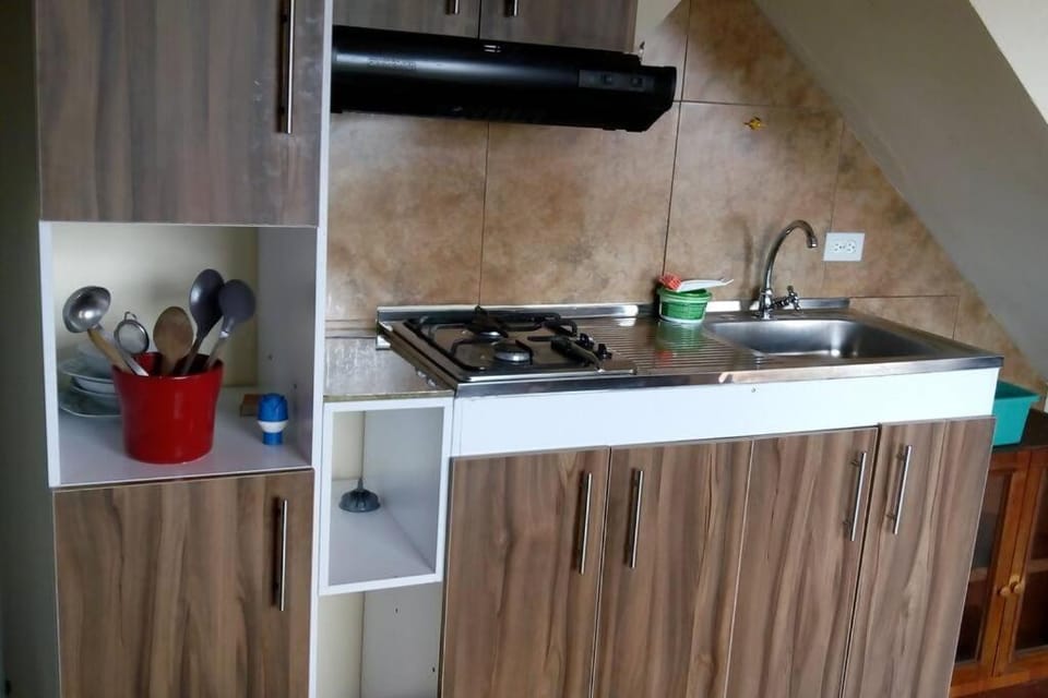 Kitchen or kitchenette, stove