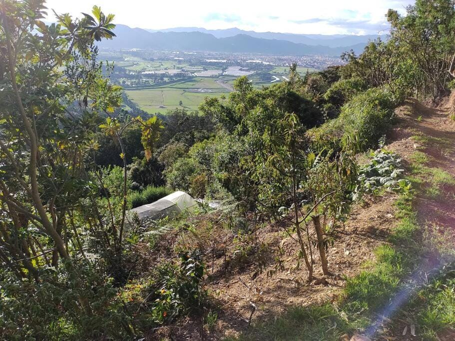 Spring, Day, Natural landscape, Hiking, Mountain view