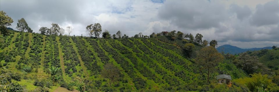 Nearby landmark, Natural landscape, Mountain view