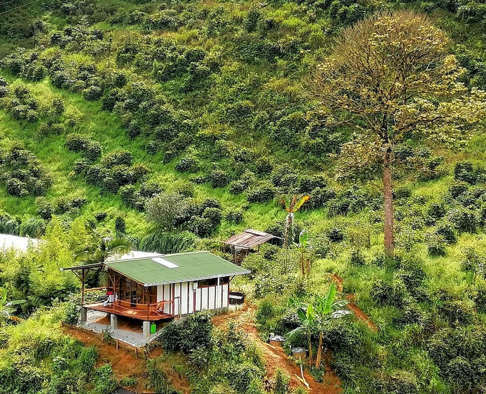 Day, Natural landscape, Garden, Garden view, Mountain view