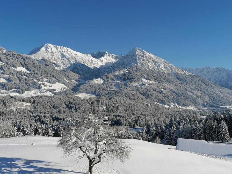Winter, View (from property/room), Mountain view