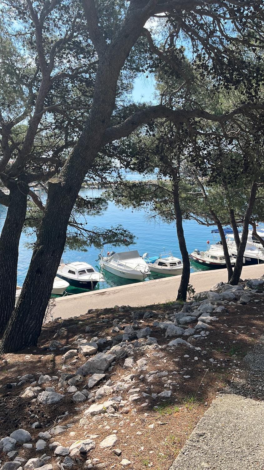 Sun Apartment in Novalja