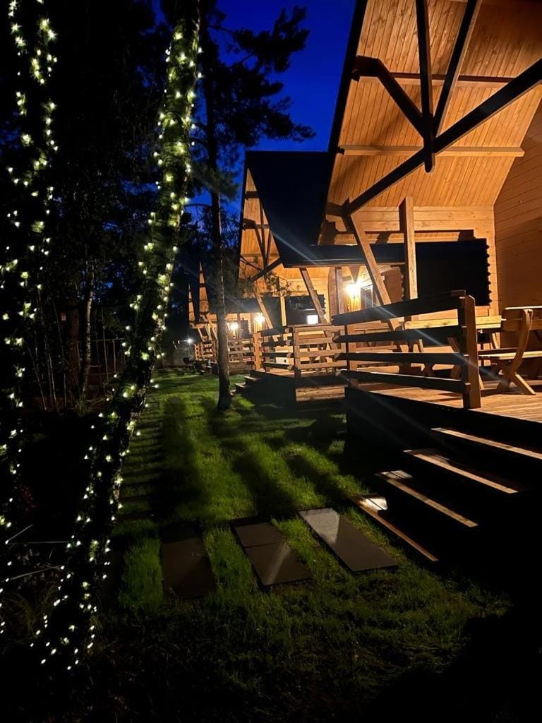 Night, Garden, Garden view