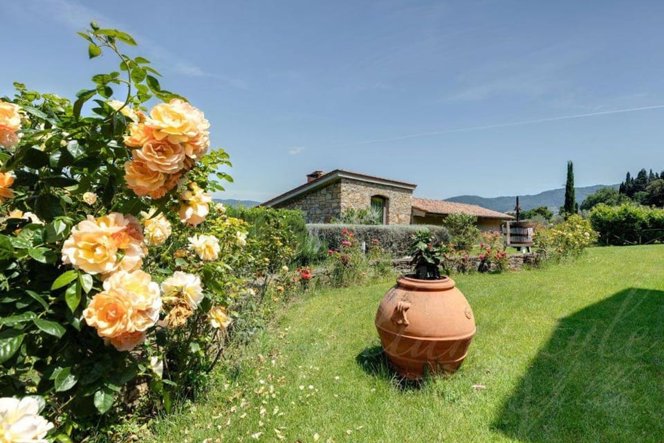 Garden, View (from property/room)