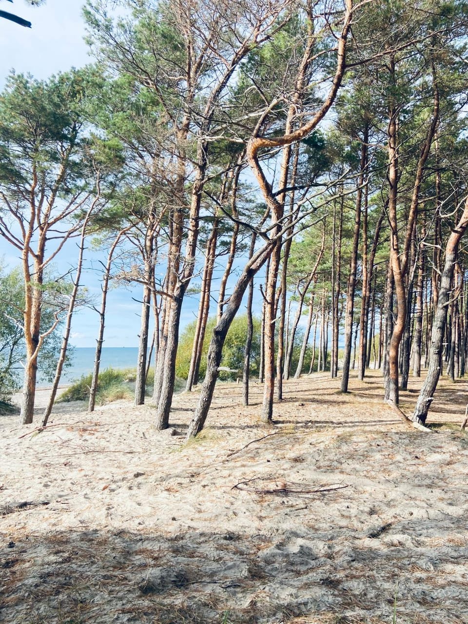 Beach