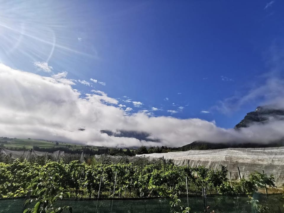 Day, Natural landscape, Lake view, Mountain view, River view