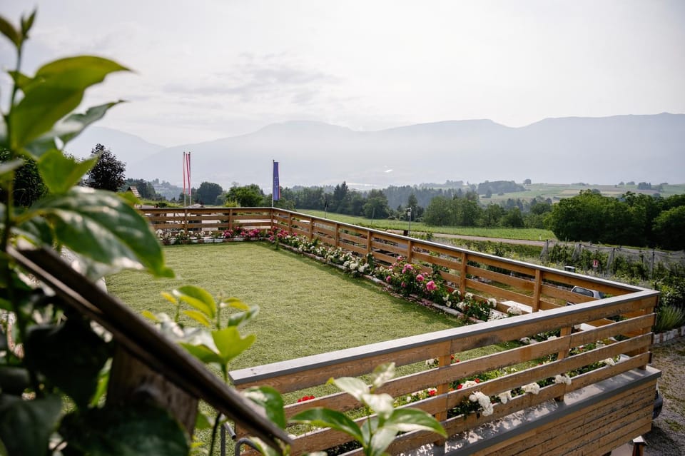 Garden, Garden view, Mountain view