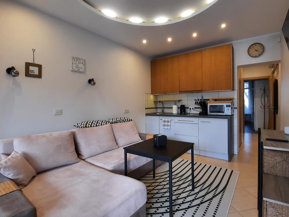 Living room, kitchen