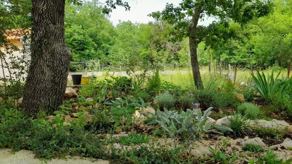 Garden view