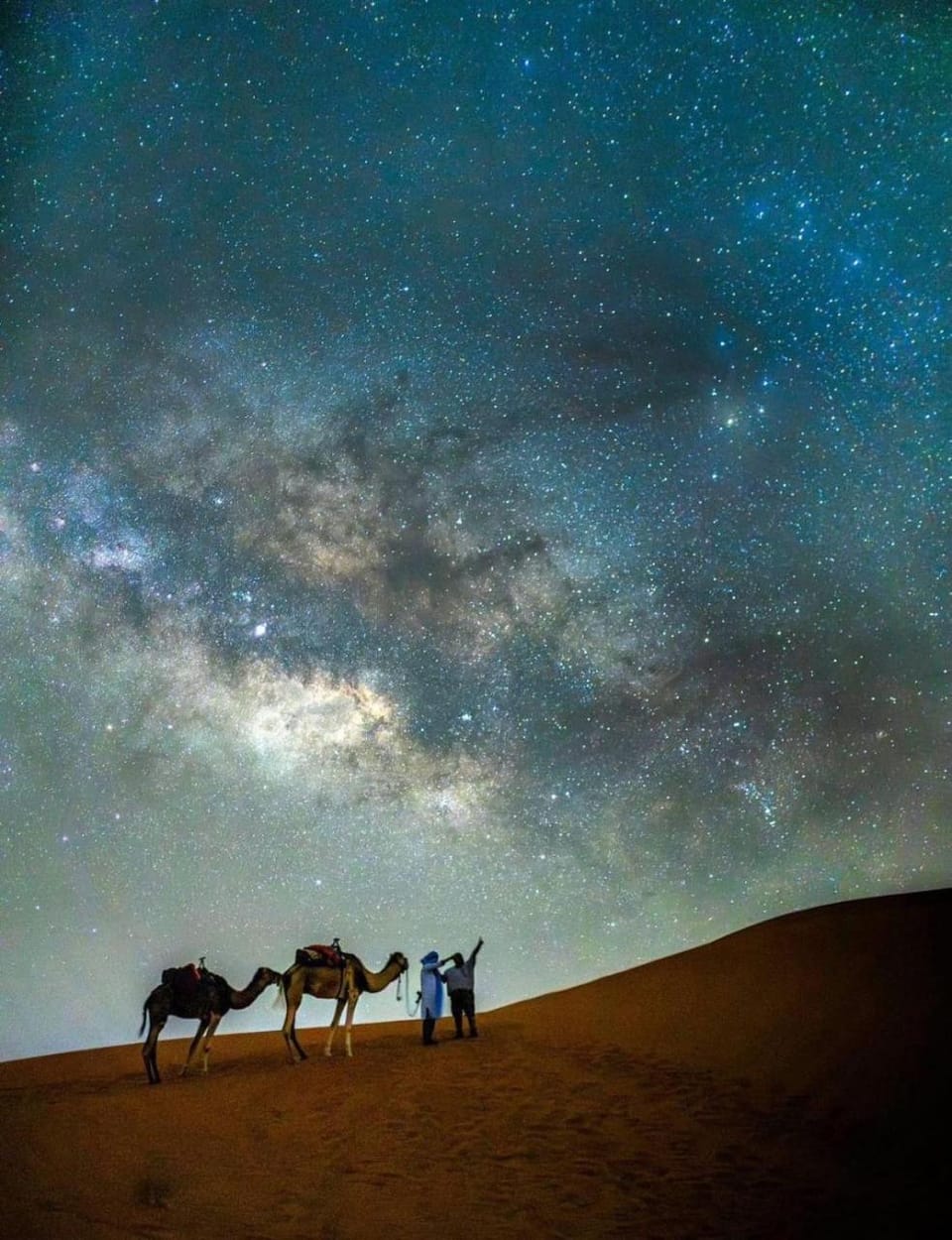 Night, People, Natural landscape, Animals, group of guests