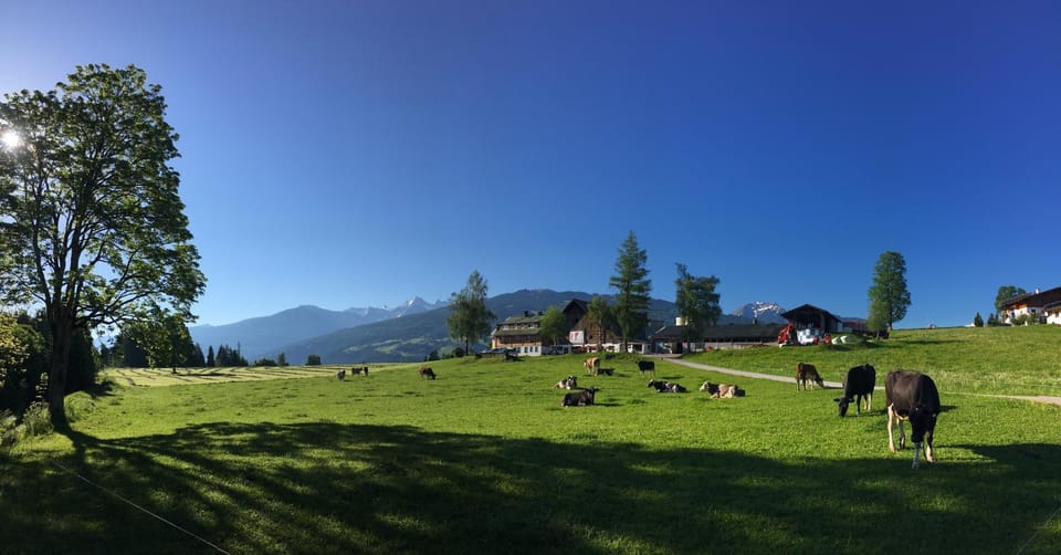 Natural landscape, Animals, Mountain view