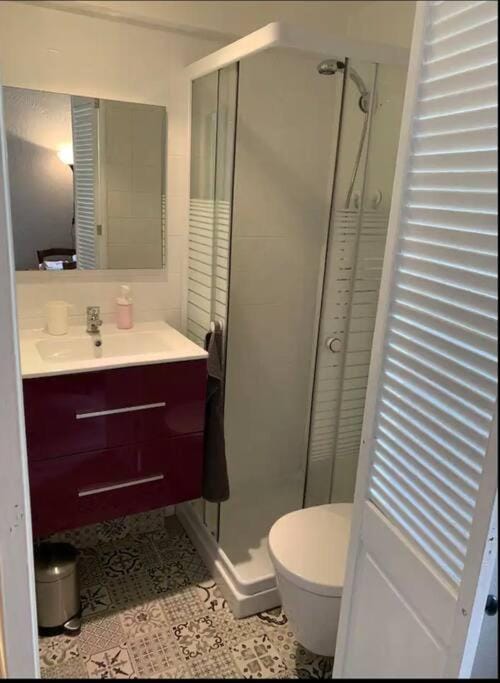 Grand studio centre Cannes Apartment in Cannes