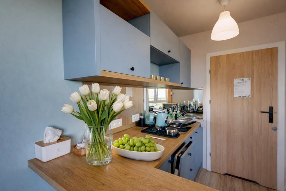 Kitchen or kitchenette, stove, kitchen