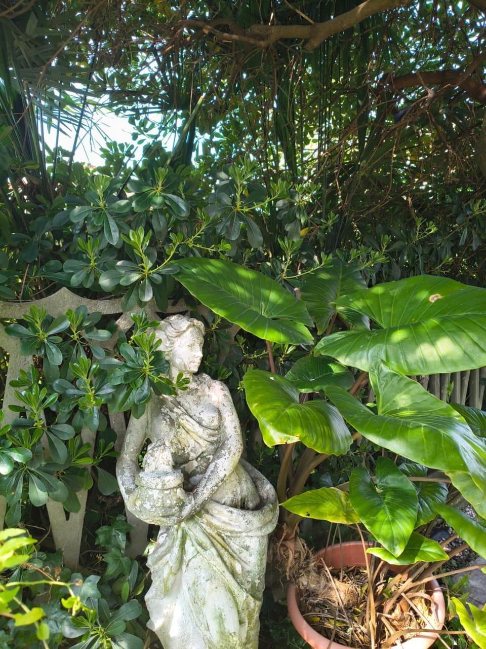 Helianthus Apartment in Sarzana