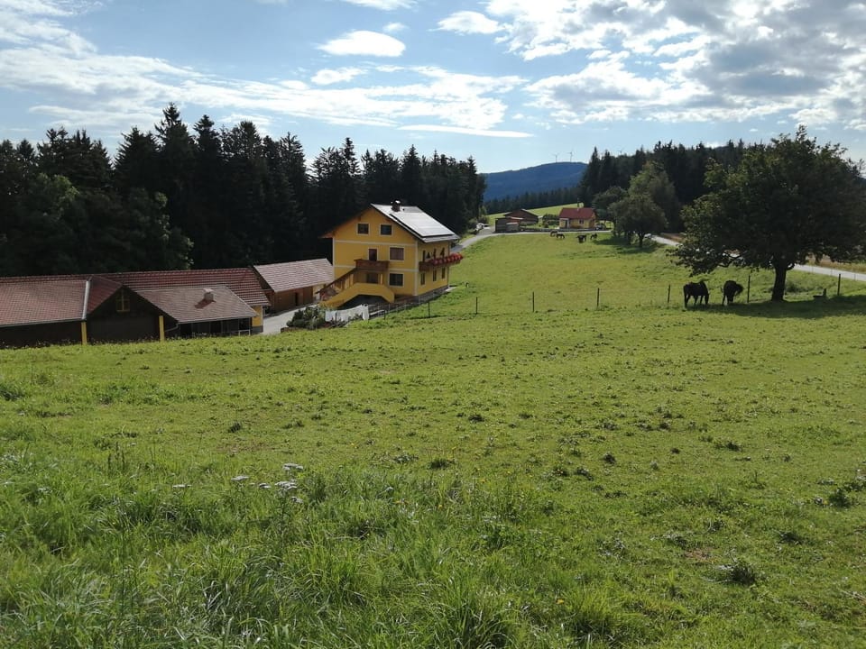 Property building, Natural landscape