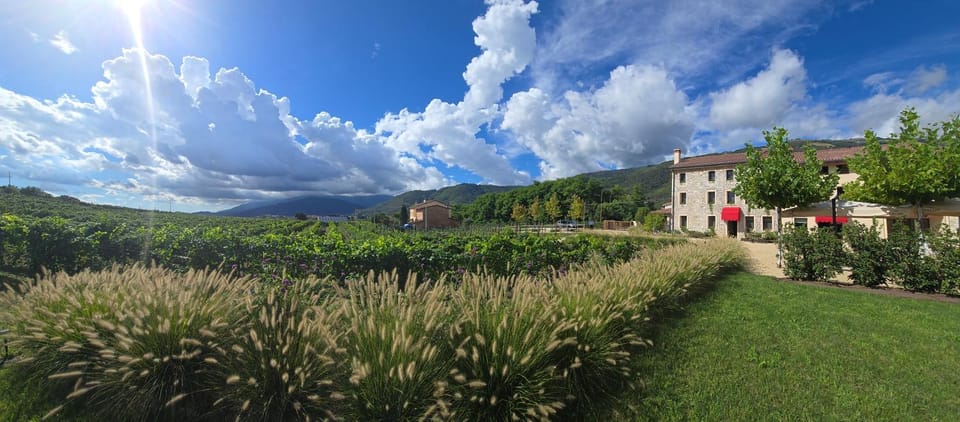 Property building, Natural landscape, Garden, Garden view