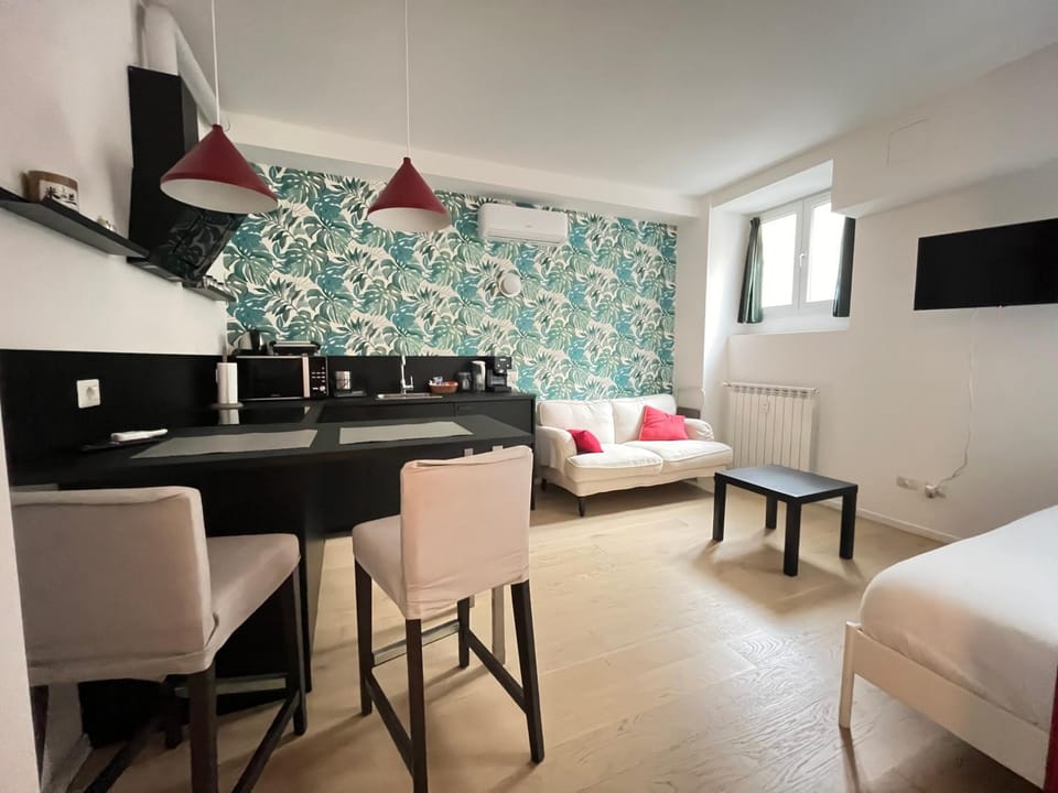 Bed, TV and multimedia, Kitchen or kitchenette, Living room, Photo of the whole room, Seating area, Dining area, Bedroom