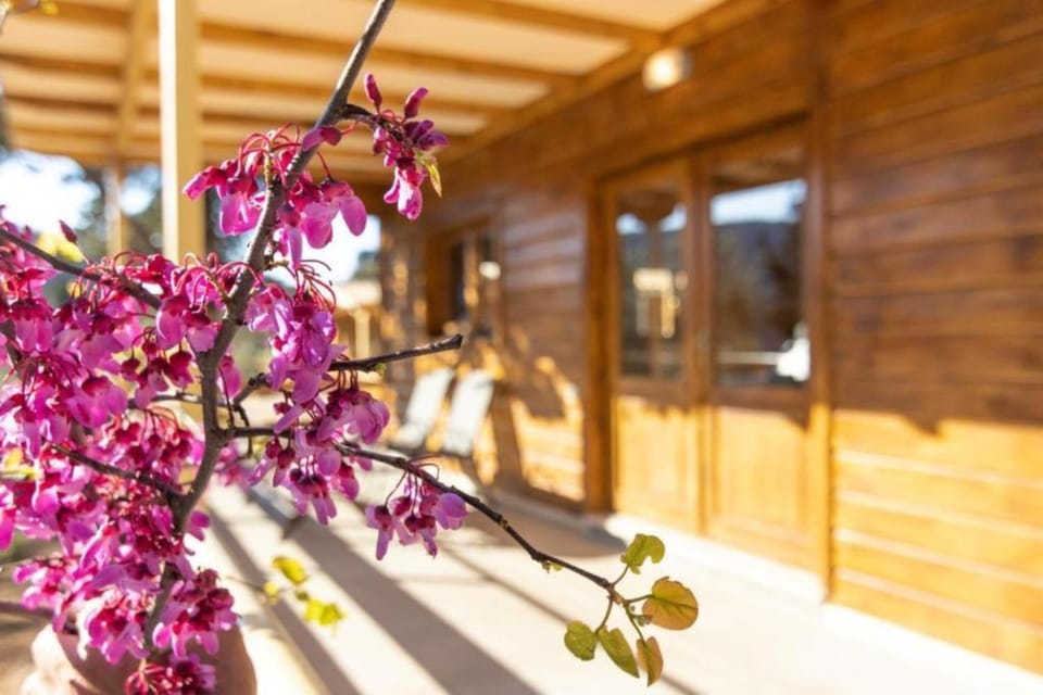 Spring, Day