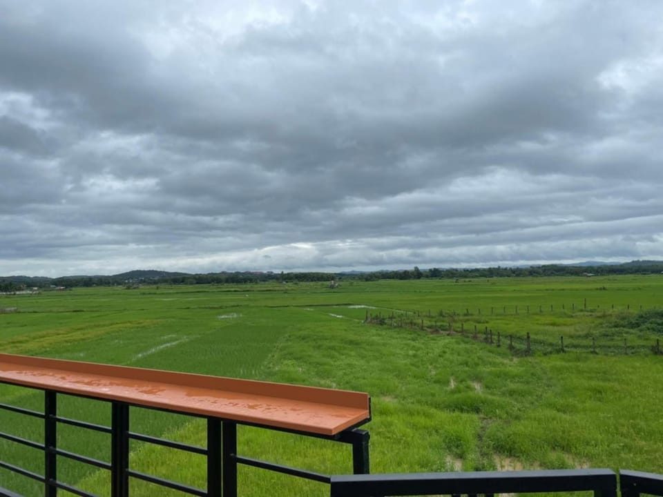 Day, Natural landscape