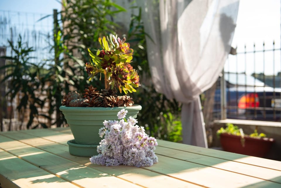 Garden view