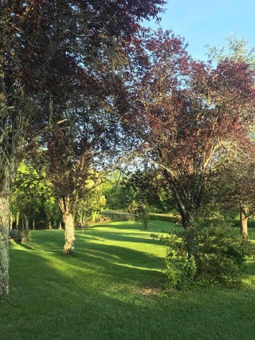 Natural landscape, Garden view