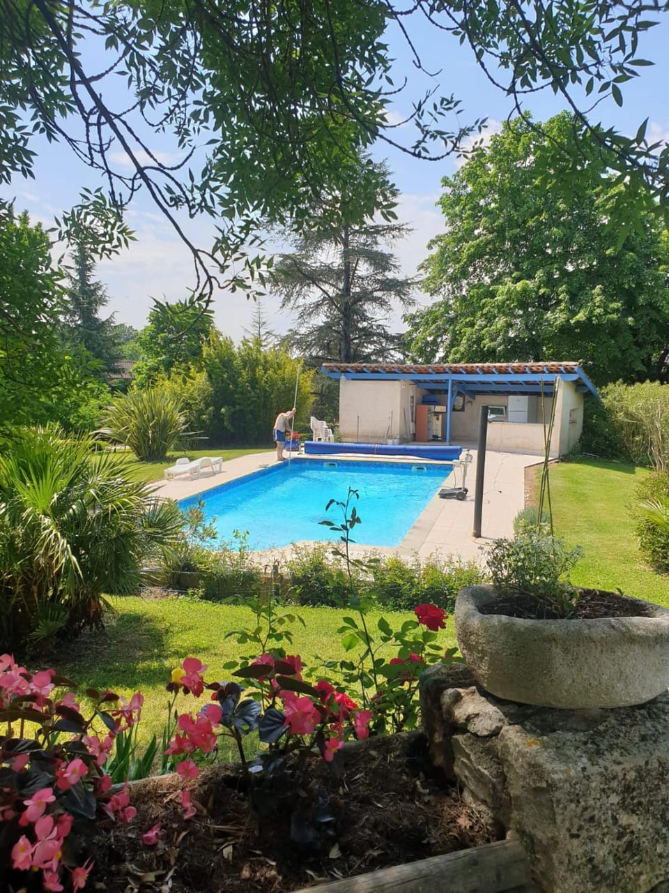 Day, Natural landscape, Garden, Garden view, Pool view, Swimming pool, sunbed