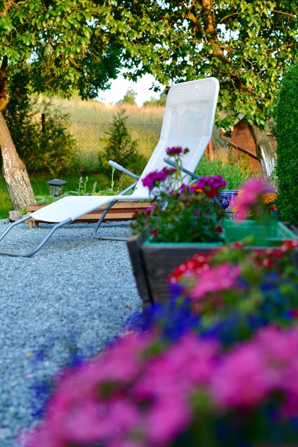 Garden, Seating area, Garden view