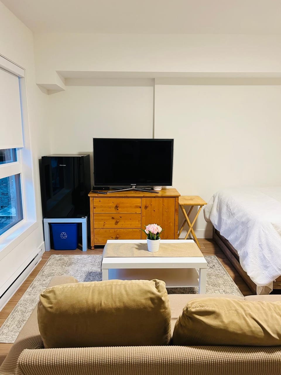 TV and multimedia