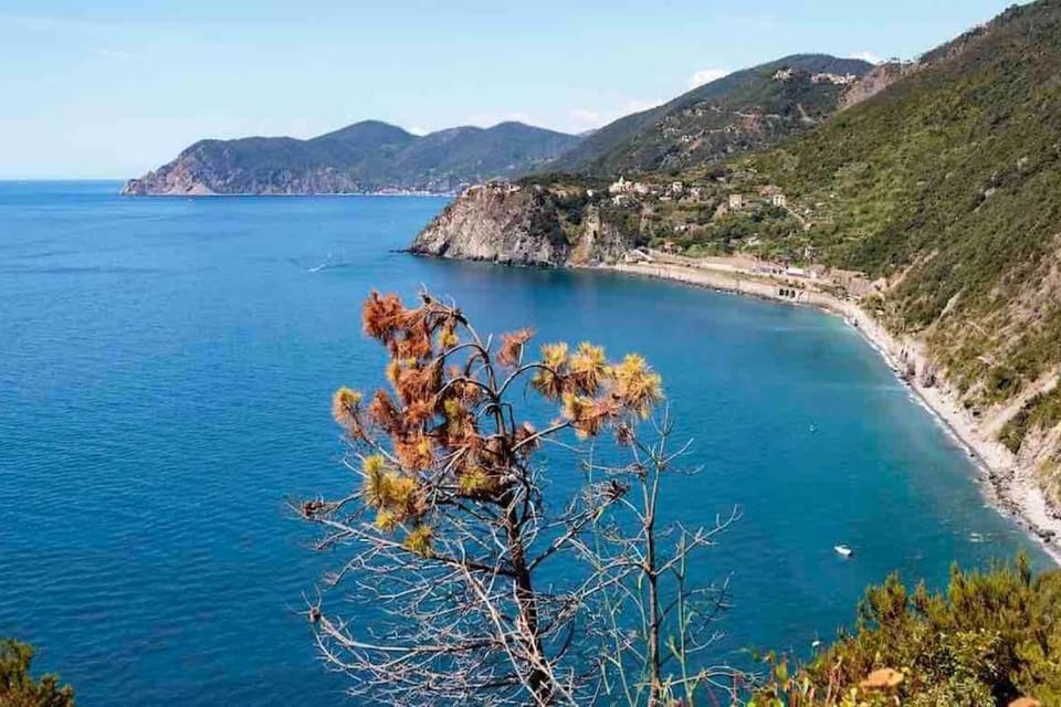 Natural landscape