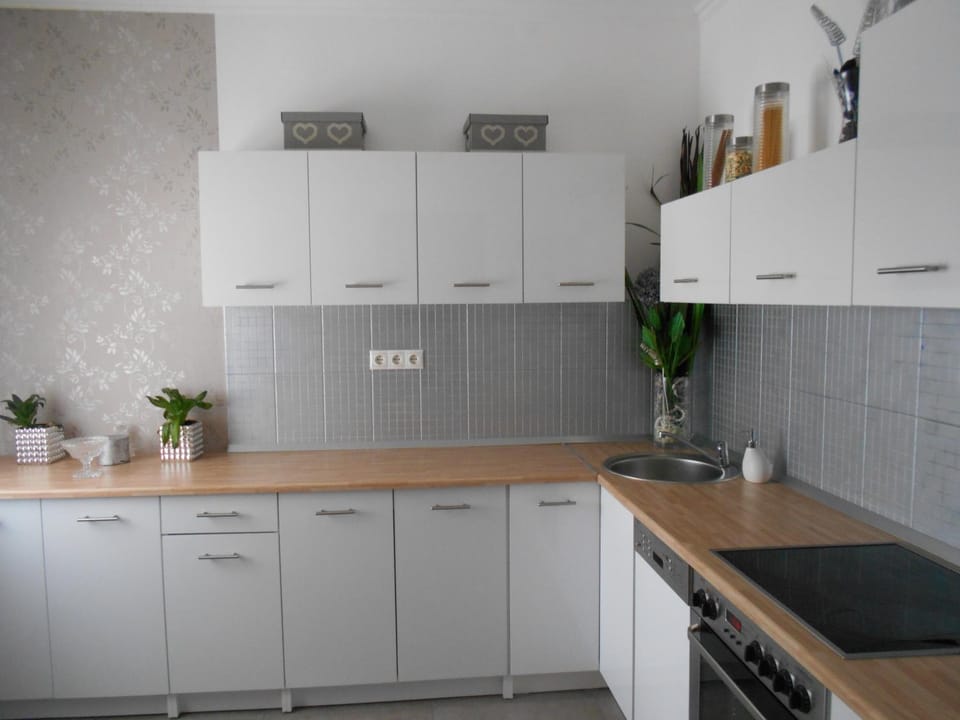 Kitchen or kitchenette, dishwasher, minibar, pet friendly, stove