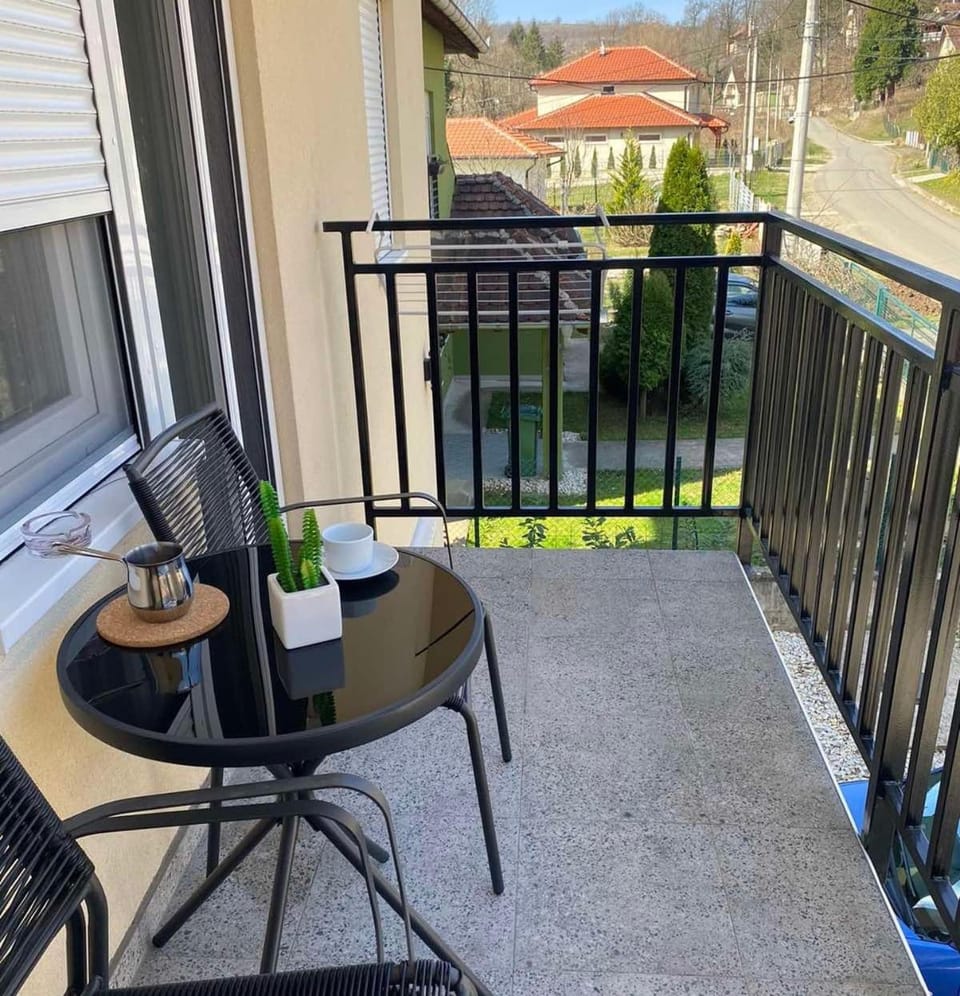 Apartmani Vila Ana Apartment in Serbia