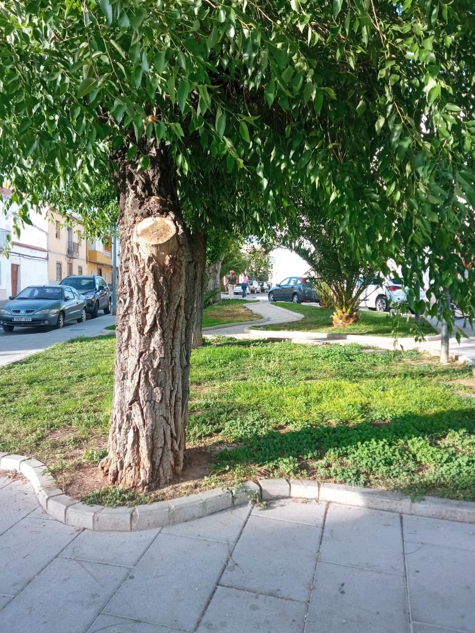 Neighbourhood, Street view