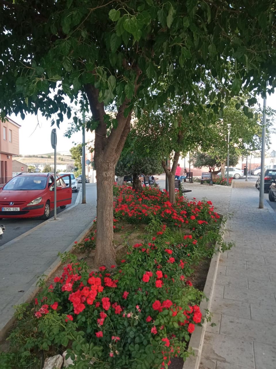 Neighbourhood, Street view