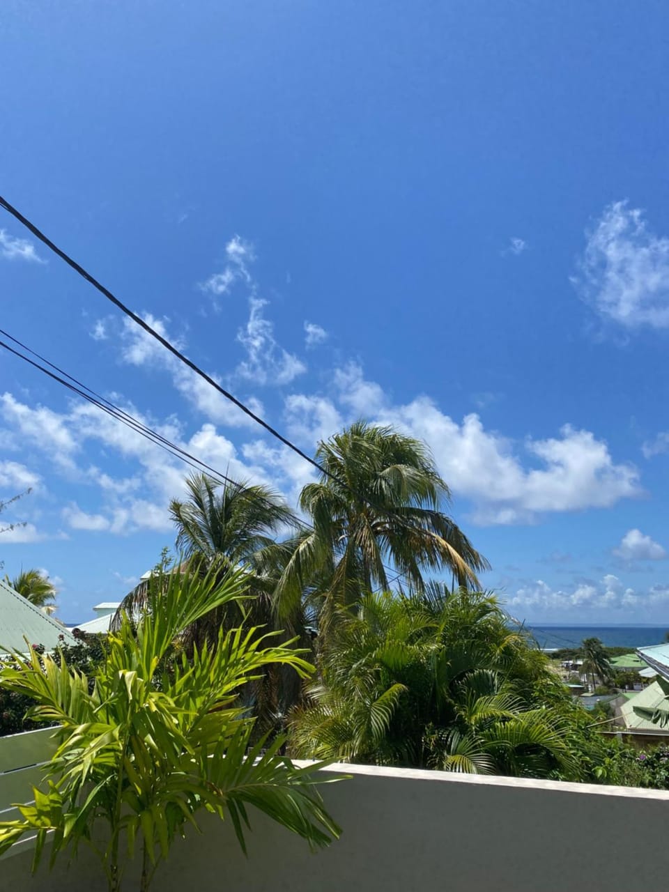 Sea view