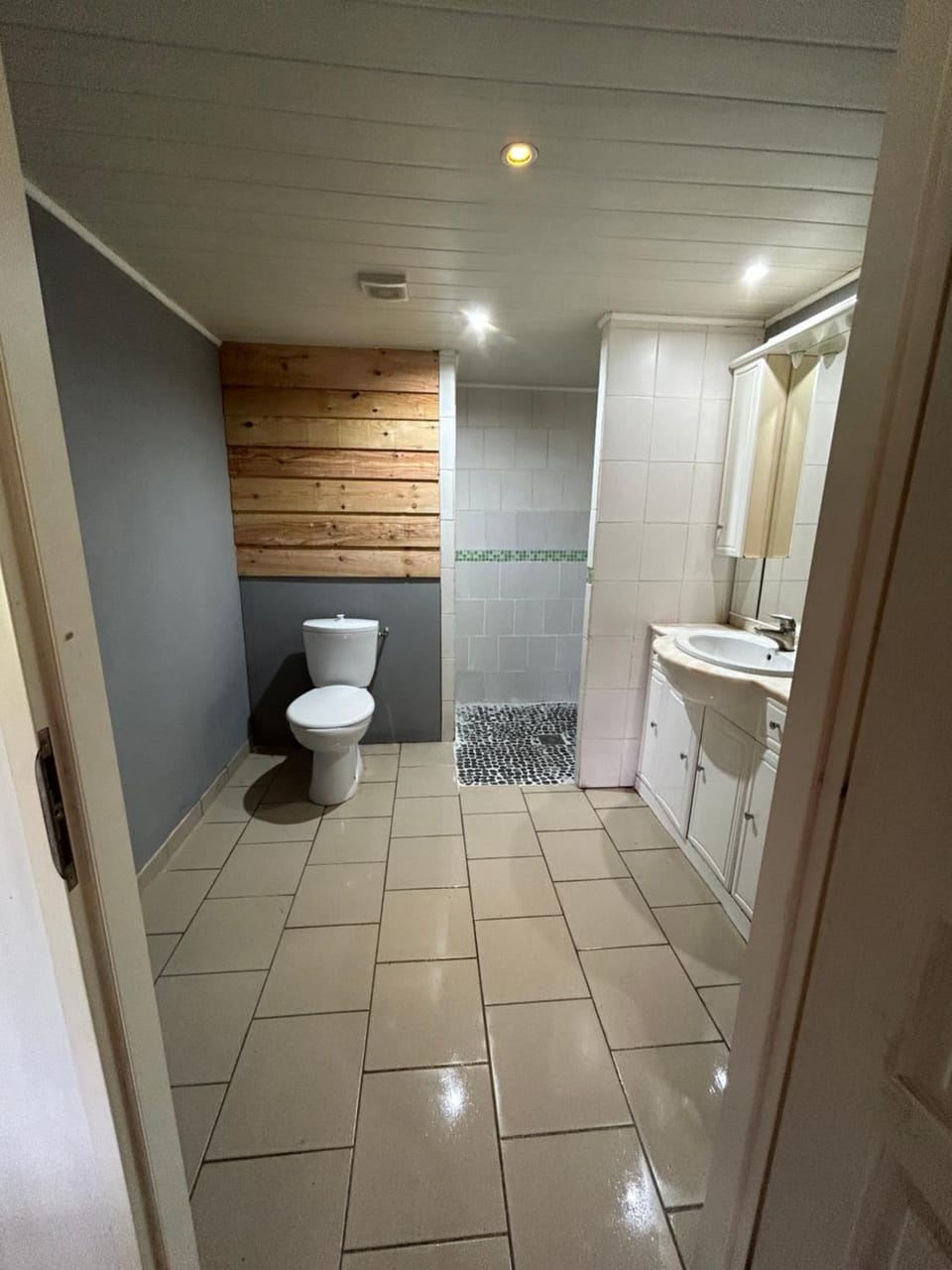 Maison à la campagne avec piscine privée et balnéo House in Nouvelle-Aquitaine