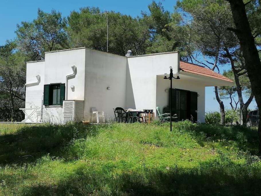 The Shining House near the sea House in Apulia
