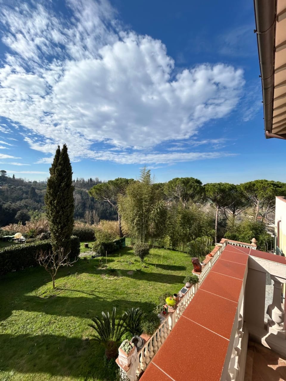 Garden view
