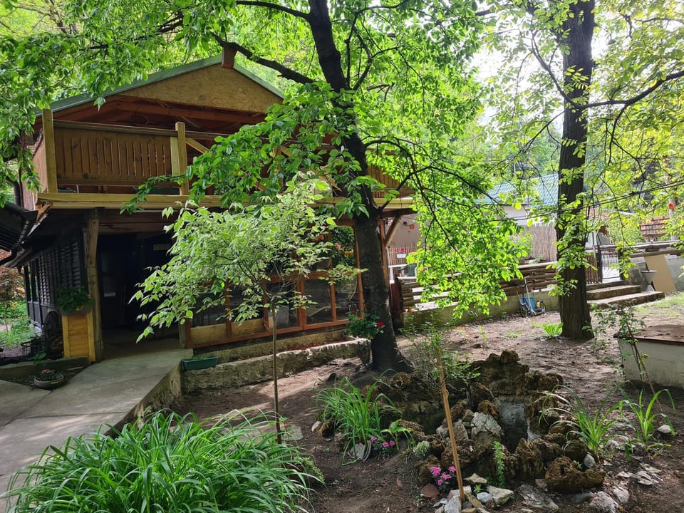 Ribarev san House in Zlatibor District, Serbia