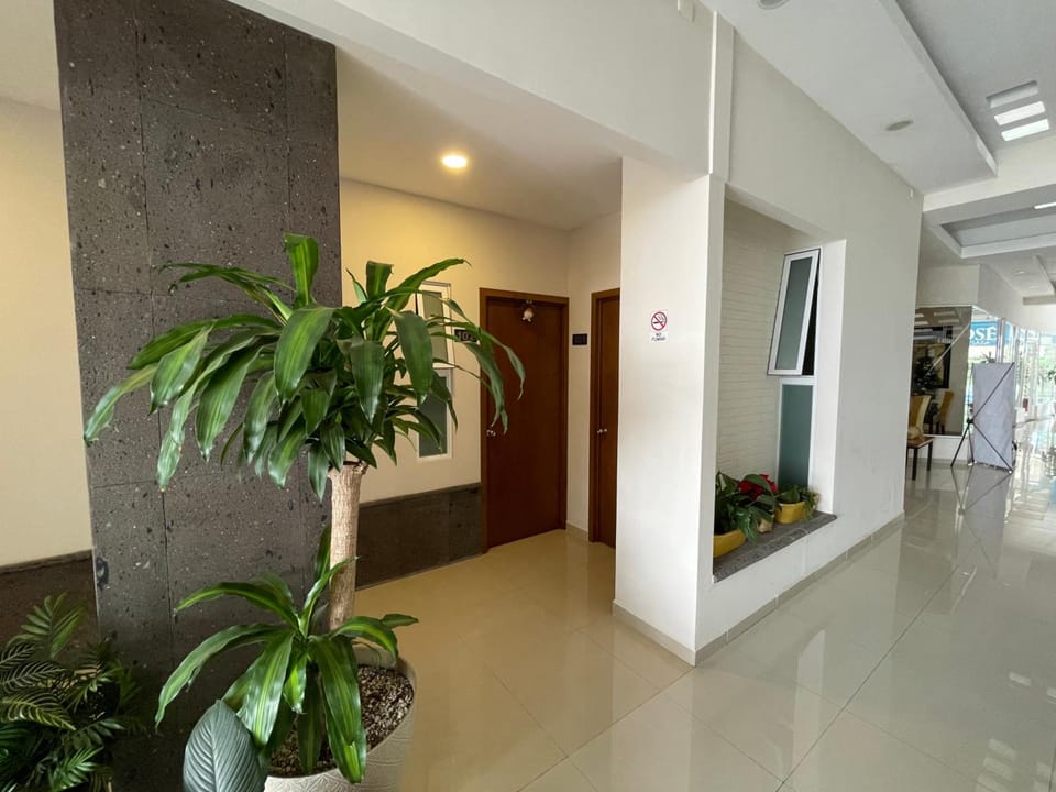 Hotel San Jose Plaza Coatepec Hotel in State of Puebla