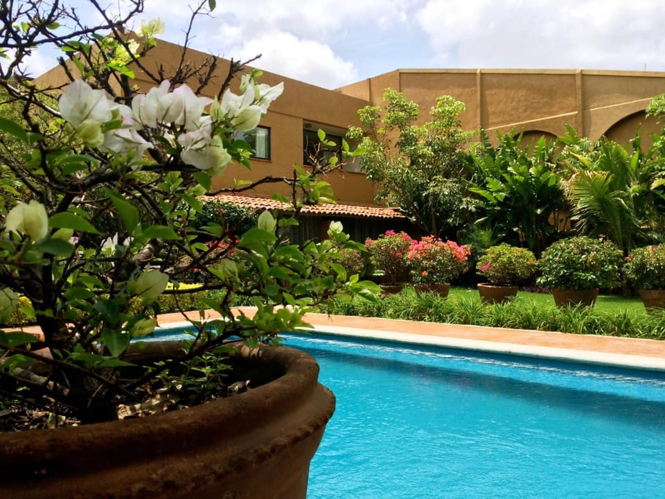 Orchidelirium Casa Hotel & Salud Estetica Hotel in Cuernavaca