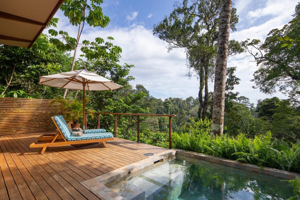 El Remanso Rainforest Lodge Lodge in Puntarenas Province